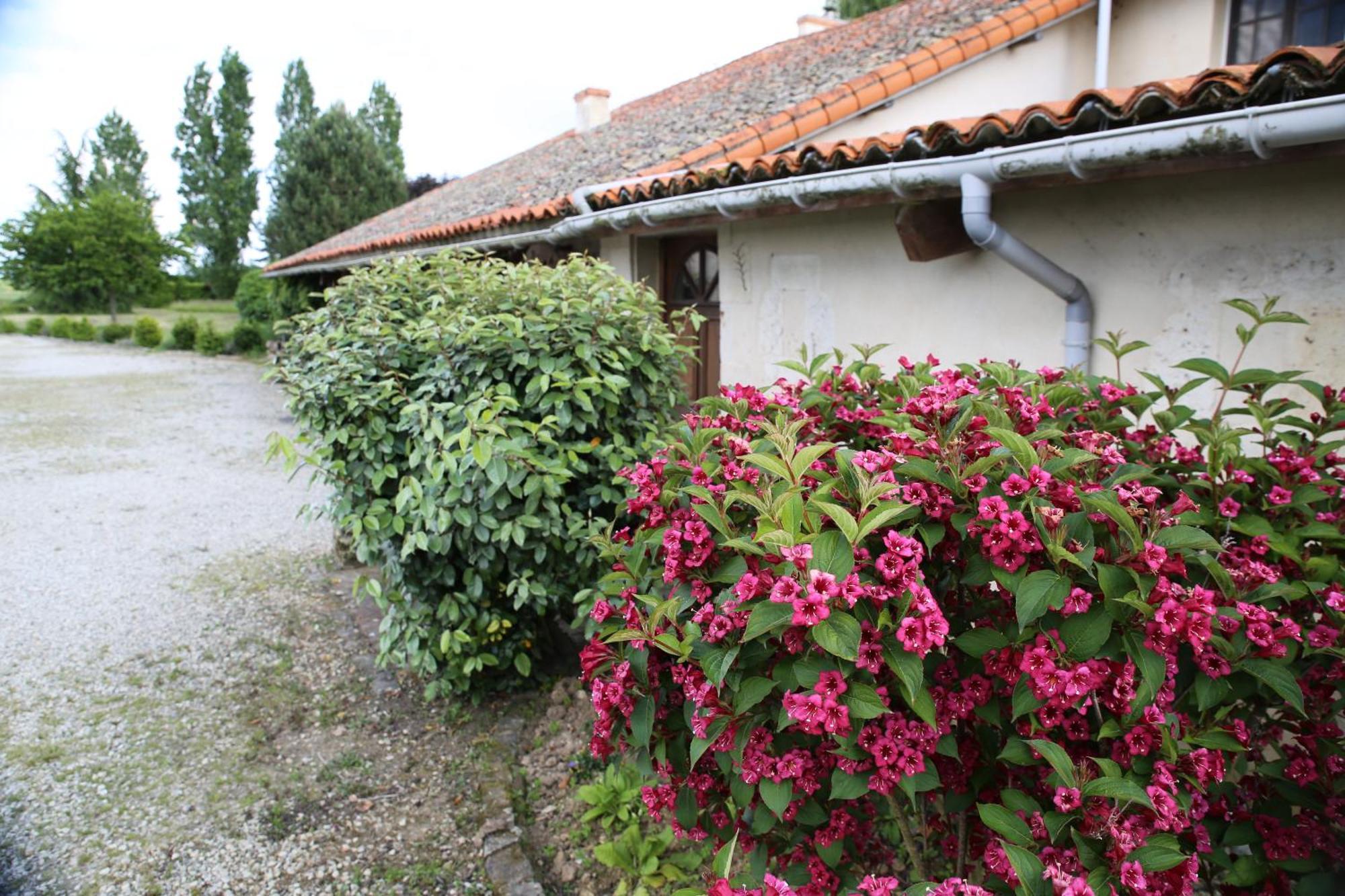 La Roseraie Romagne  Exterior foto